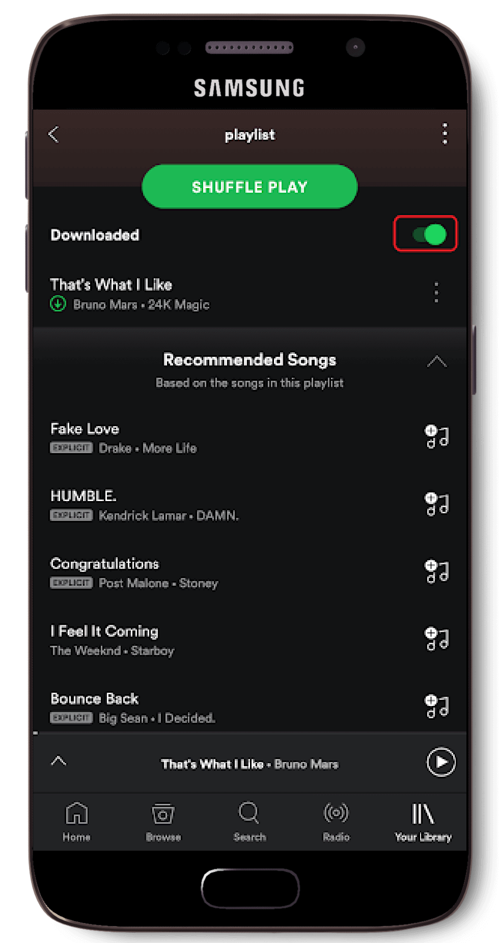 Download song/playlist - Step 2